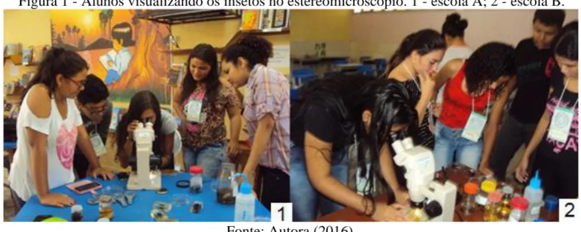 Figura 1 - Alunos visualizando os insetos no estereomicroscópio. 1 - escola A; 2 - escola B