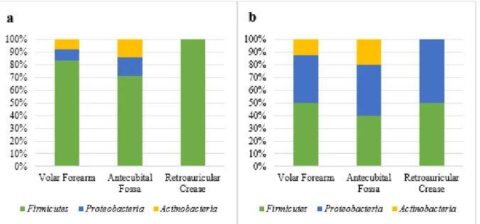 Figure 2 – (a) Ratio of bacterial frequency per phylum and anatomical site from the patients before chemotherapy