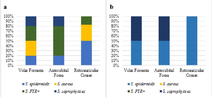 Figure 3 – (a) Ratio of Staphylococcus frequency per species and anatomical site from the patients before chemotherapy