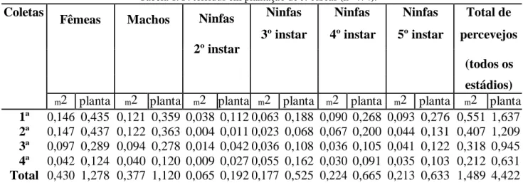 Tabela 1. P. torridus em plantação de J. curcas (n=474). 