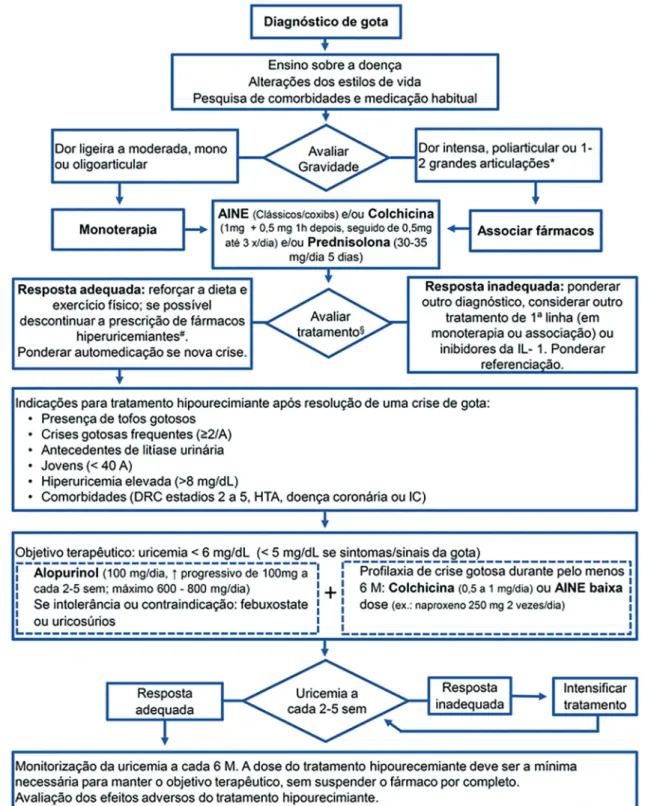 Figura 1. Algoritmo de tratamento e seguimento da gota.