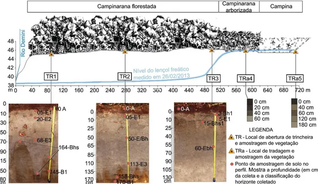 Figura 2. Transecto  estabelecido para amostragem contemplando os principais  geoambientes  da região