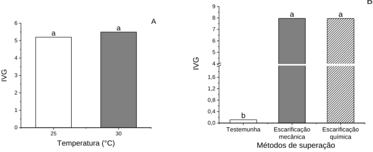 Figura 2 - Índice de velocidade de germinação (IVG) das sementes do visgueiro (Parkia pendula Willd