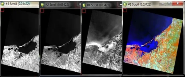 Figura 7. Bandas 5, 6 y 4; combinación de color falso para imágenes Landsat  8.  