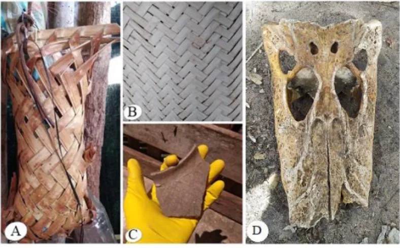 Figura 04 – A) cesto cargueiro muito comum a região extrativismo de Babaçu, (Attaleaspeciosa Mart.);B) trançado  esteira etnia chiquitana; C) fragmento cerâmico arqueológico encontrado nas imediações da baía grandee D) resquício  craniano de um Caimã