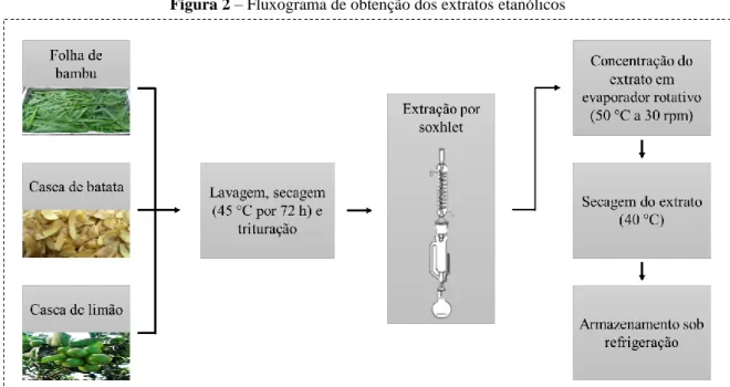 Figura 2 – Fluxograma de obtenção dos extratos etanólicos 