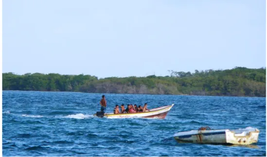 FIGURA 1 - Vista parcial en el Mar Caribe Venezolano.  