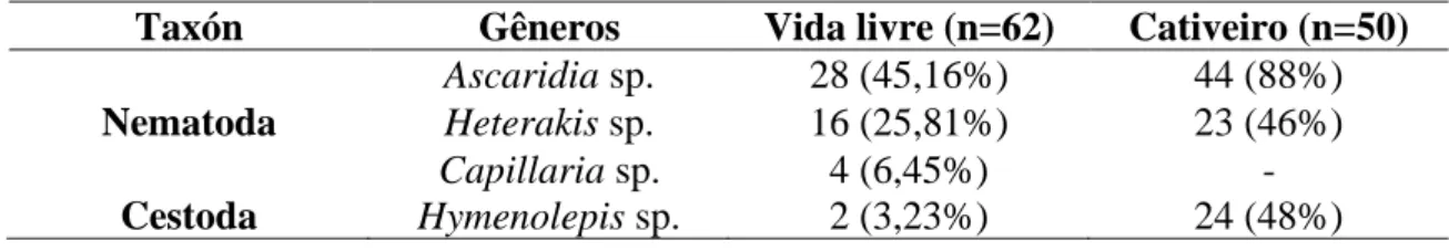 Tabela 1. Frequência de enteroparasitas identificados em pombos de vida livre e de cativeiro (Columba livia)