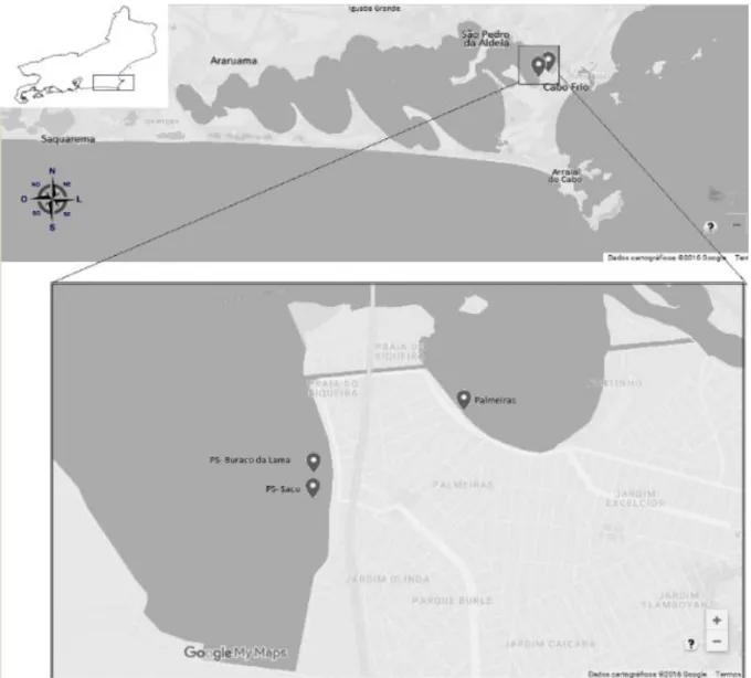 Figura 1: Localização da área da Lagoa de Araruama com a posição dos municípios do  entorno e os bairros de estudo demarcado os pontos de análises
