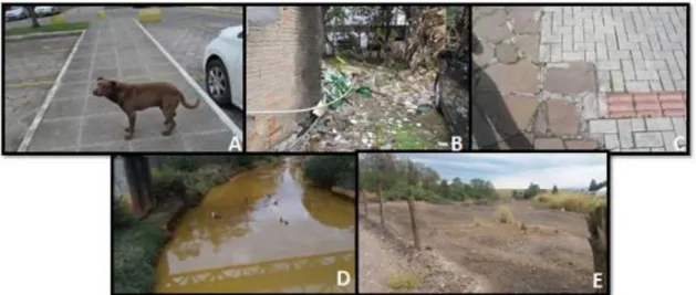 Figura 3: Problemas registrados pelos alunos. Foto A: Abandono de animais; Foto B: Disposição  de resíduos; Foto C: Acessibilidade; Foto D: Rio Criciúma; Foto E: Mineração de carvão