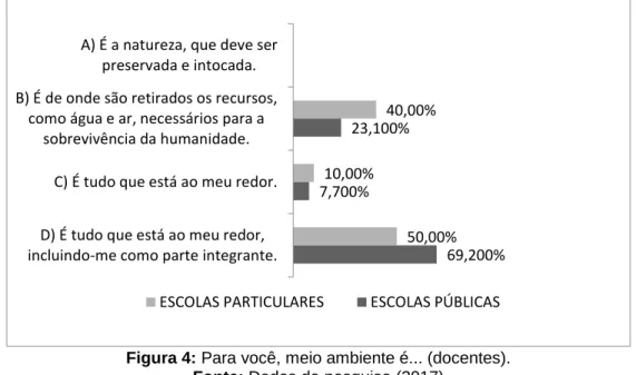 Figura 4: Para você, meio ambiente é... (docentes). 