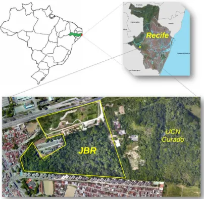 Figura 1: Localização do Jardim Botânico do Recife (JBR).   
