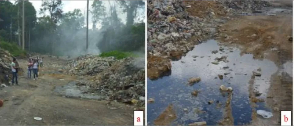 Figura 2a e b: Visita técnica realizada no lixão a céu aberto em Laranjal do Jari. (a) Presença  de fumaça resultado da queima de resíduos sólidos e possíveis emissões de gases tóxicos