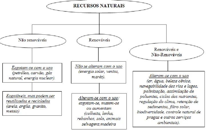 Figura 1: Divisão dos recursos naturais. Fonte: Adaptado de Tivy e O’Hare (1981) 