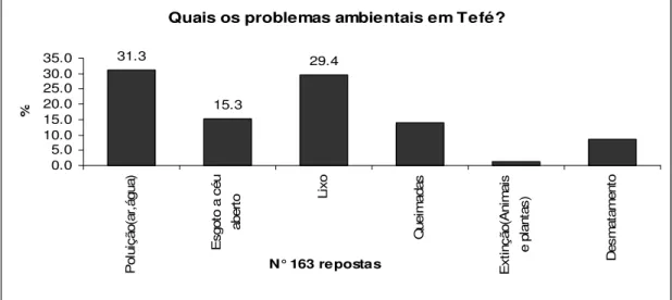 Figura 03: Participação dos entrevistados, sobre “quais os problemas ambientais em Tefé”