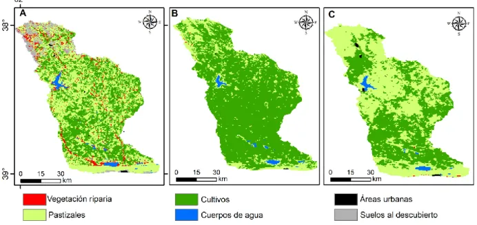 Figura 5 - Distribución espacial de las coberturas del suelo calculadas (A) in situ, (B) con los productos ESA  Landcover y (C) con MODIS Landcover