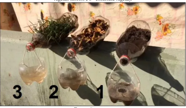 Figura 01: O experimento em seus três momentos (1 - sem cobertura vegetal, 2 – restos de   vegetais mortos e 3 - cobertura vegetal)