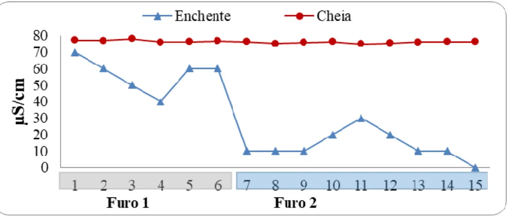 Figura 81 - Valores de condutividade elétrica nos pontos amostrais em dois períodos  hidrológicos