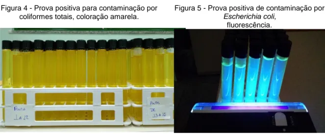 Figura 4 - Prova positiva para contaminação por  coliformes totais, coloração amarela