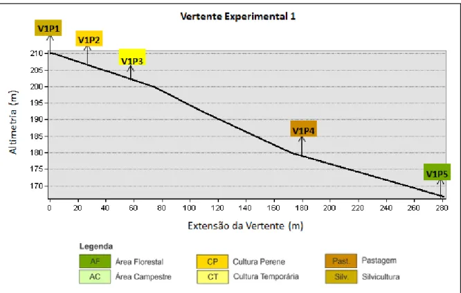 Figura 7 - Perfil topográfico da vertente experimental 1. 