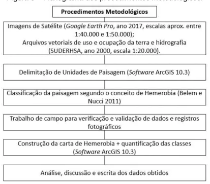 Figura 3 – Fluxograma dos procedimentos metodológicos. 