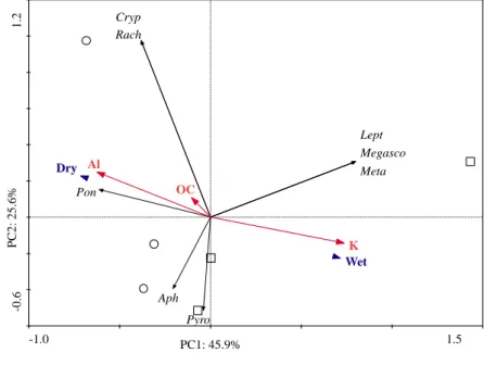 Figura 2 – Relação entre a principal componente 1 (CP 1) e a principal componente 2 (CP 2), considerando  ambiente  seco  e  úmido  (azul)  de  fragmentos  florestais  urbanos  na  camada  de  10-20  cm,  a  fauna  do  solo  (itálico)  e  as  variáveis  am