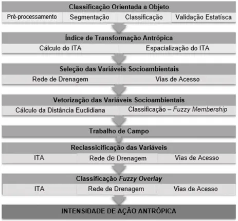 Figura 2 – Etapas dos procedimentos metodológicos. 