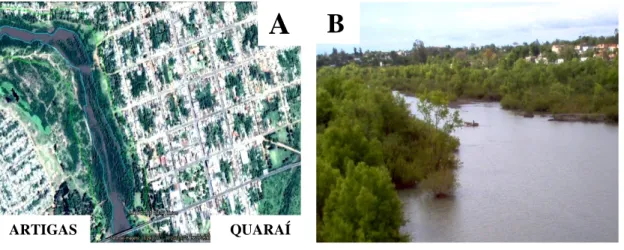Figura 6 – Avanço da área urbana próxima as Áreas de Preservação Permanentes no segmento do Rio  Quaraí, com destaque do Departamento de Artigas/Uruguai, no centro da foto