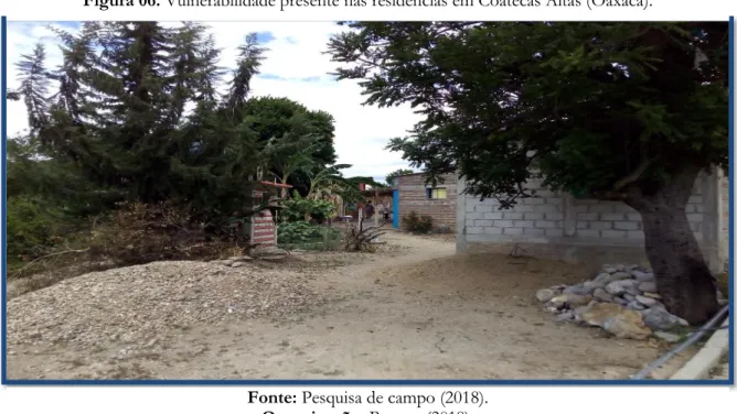 Figura 06. Vulnerabilidade presente nas residências em Coatecas Altas (Oaxaca).