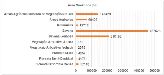 Figura 11: Área Queimada no Uso e Cobertura da Terra do Estado de Minas Gerais no ano de 2014 