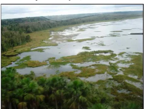 Figura 2: Áreas alagadas, sul de Rondônia 