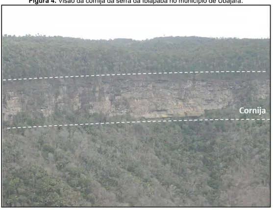 Figura 4. Visão da cornija da serra da Ibiapaba no município de Ubajara.