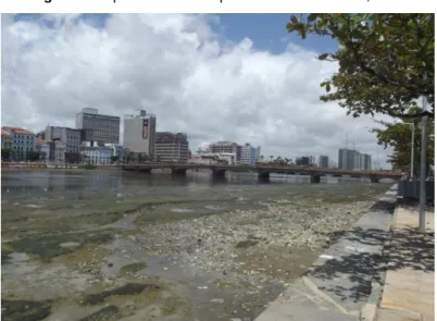 Figura 7. Aspectos do rio Capibaribe em Recife-PE, 2009 
