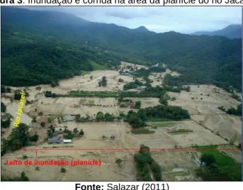 Figura 4. Deposição de sedimentos e material lenhoso resultante dos movimentos de massa na  comunidade de Floresta no evento de 11/03/2011