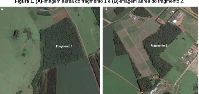 Figura 1. (A)-imagem aérea do fragmento 1 e (B)-imagem aérea do fragmento 2. 