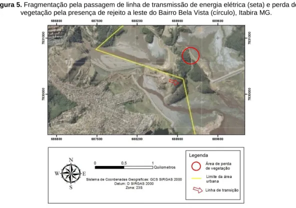 Figura 6. Recuperação de vegetação em fragmento próximo ao CDI, Itabira MG.   