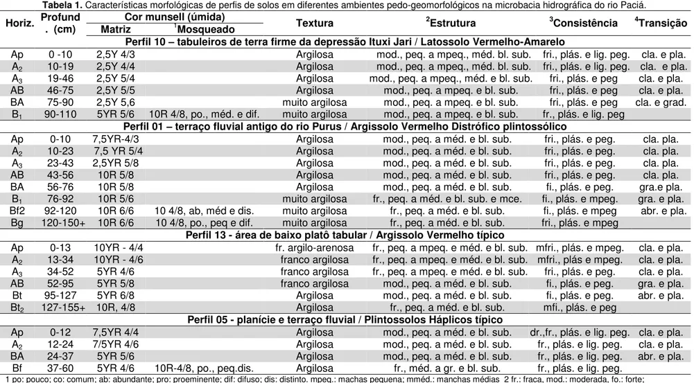 Tabela 1. Características morfológicas de perfis de solos em diferentes ambientes pedo-geomorfológicos na microbacia hidrográfica do rio Paciá