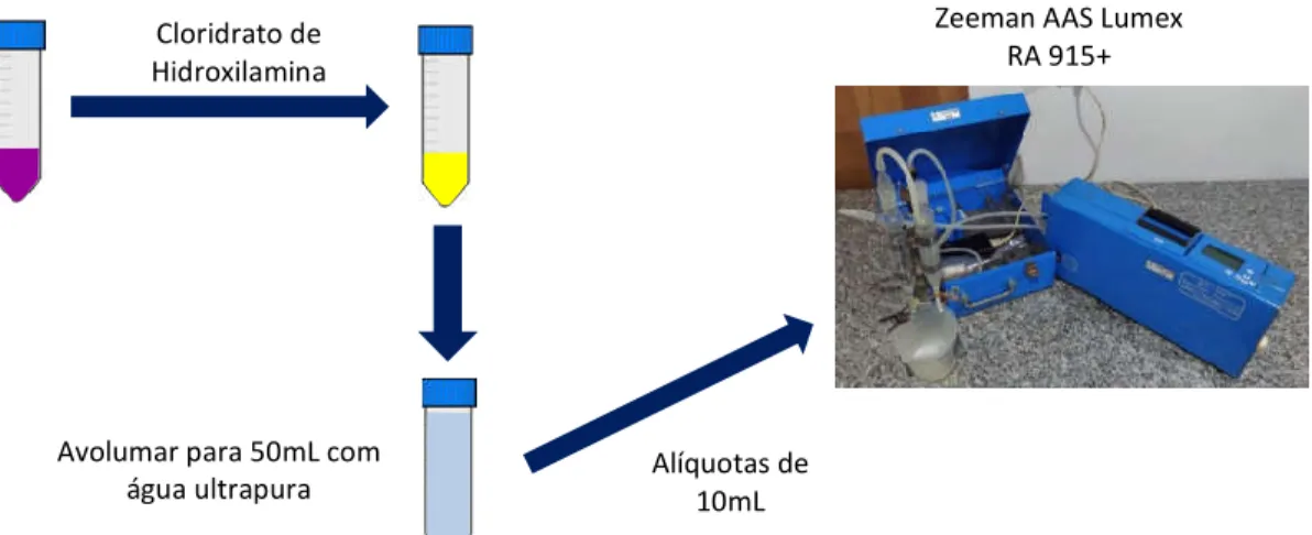 Figura 4: Representação esquemática dos procedimentos envolvidos na leitura da  concentração de mercúrio presente nos sedimentos 