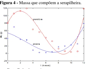 Figura 4 - Massa que compõem a serapilheira.
