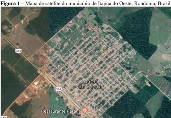 Gráfico  1  –  Representação  quantitativa  das  plantas  com  maiores  frequências encontradas na arborização urbana do Município de Itapuã do  Oeste- RO