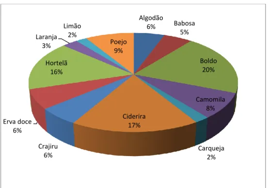 Figura 02 – Representação gráfica das plantas medicinais mais representativas, de  acordo com o conhecimento tradicional dos participantes da pesquisa