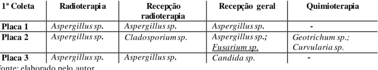 Tabela 1 – Presença de fungos no ar: primeiro dia de coleta no Instituto de O ncologia e   Radioterapia  de Porto Velho/RO  – 2015