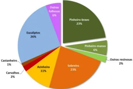 Figura 1 - Distribuição das áreas totais por espécie/grupo de espécies  Fonte: ICNF (2013)