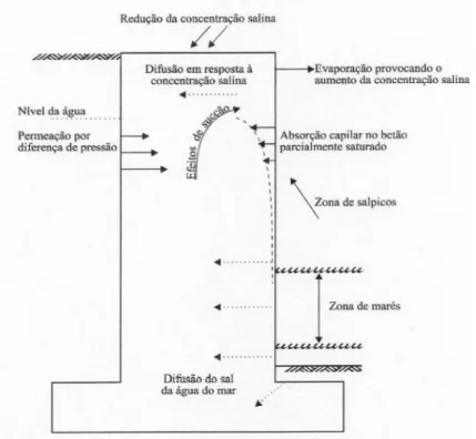 Figura 2. 1 - Mecanismos de transporte de cloretos em estruturas marítimas (Sousa Coutinho,  1998) 