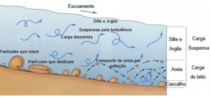 Figura 2 - Tipos de transporte sólidos (Colégio Vasco da Gama, 2012) 