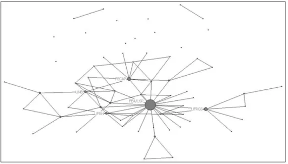 Figura 4:  Rede de Co-autoria entre IES