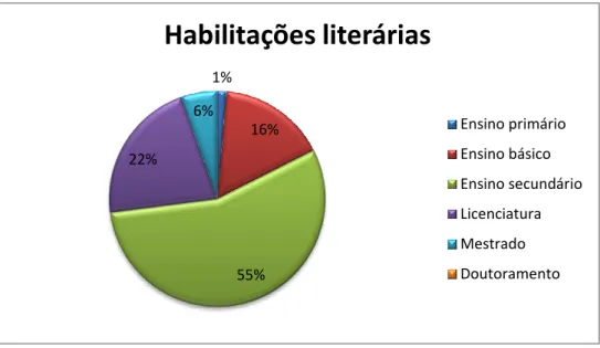 Figura 19: Gráfico demonstrativo das habilitações literárias dos inquiridos 