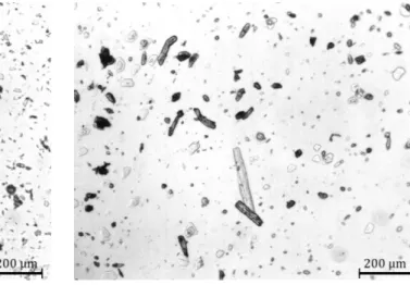 Figure 38 – 1.5% MCC + CTAB