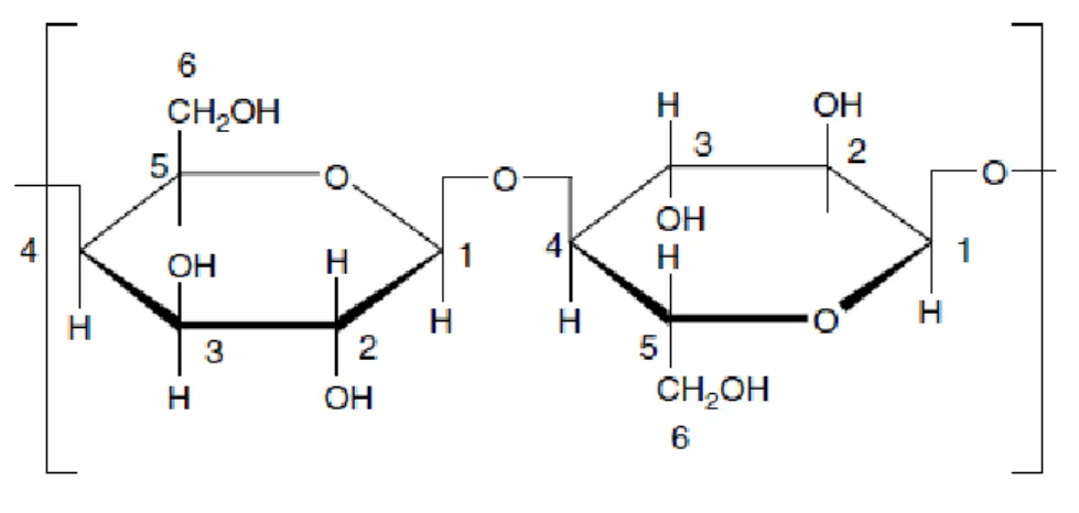 Figura 1: Fórmula estrutural da celulose 