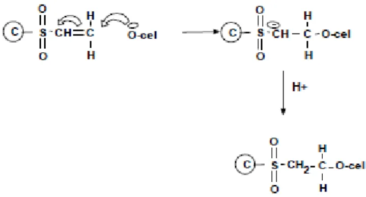 Figura 3:Reação de adição nucleofílica